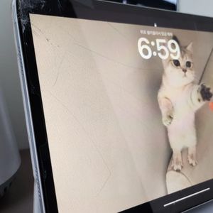 아이패드 프로 11인치 M1 256