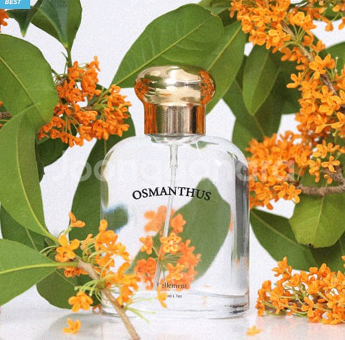 벨망 수제 오스만투스 만리향 금목서향수 50ml--0