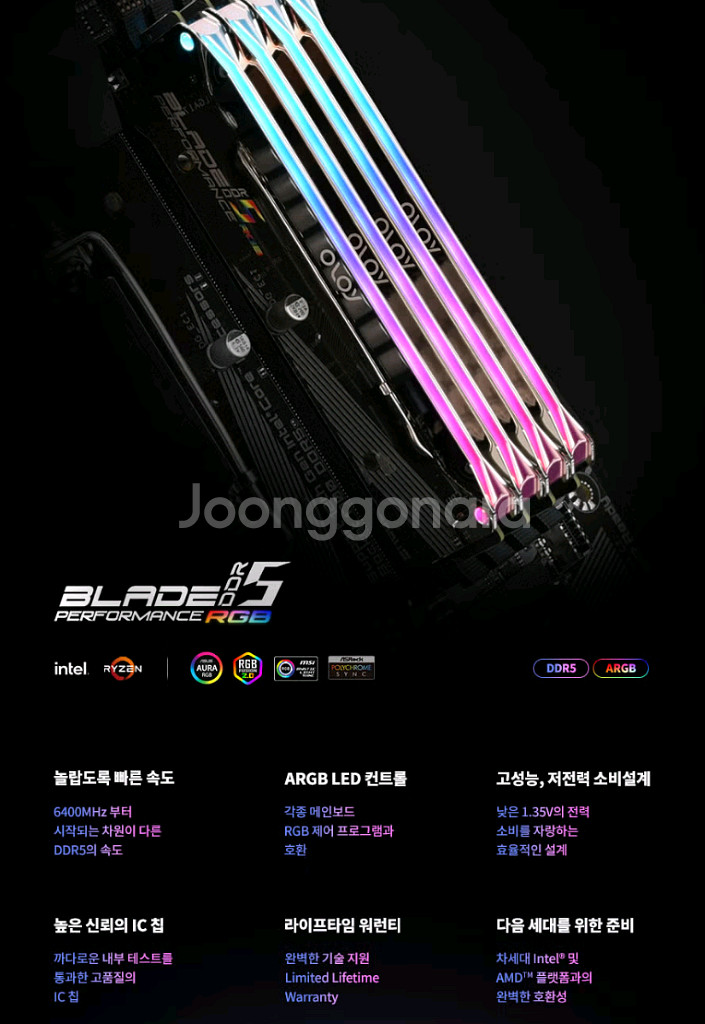 OLOy DDR5 32GB 6400Mhz CL32하닉A--3