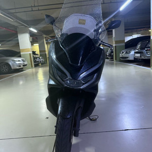 20년식 pcx