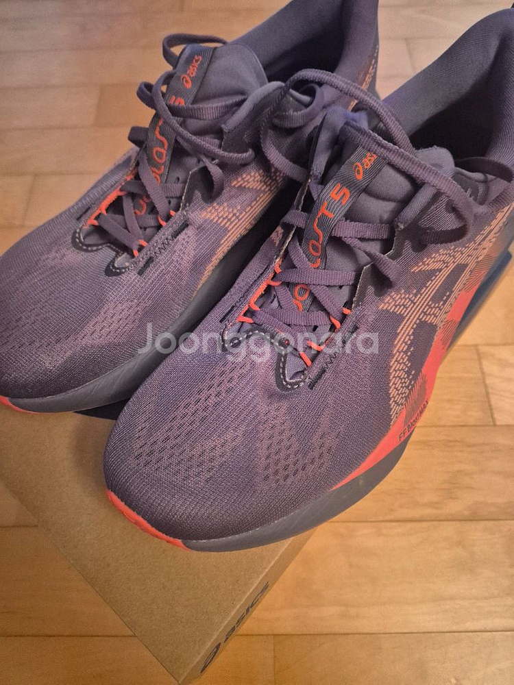 280 노바블라스트5 퍼플 코랄리프--0