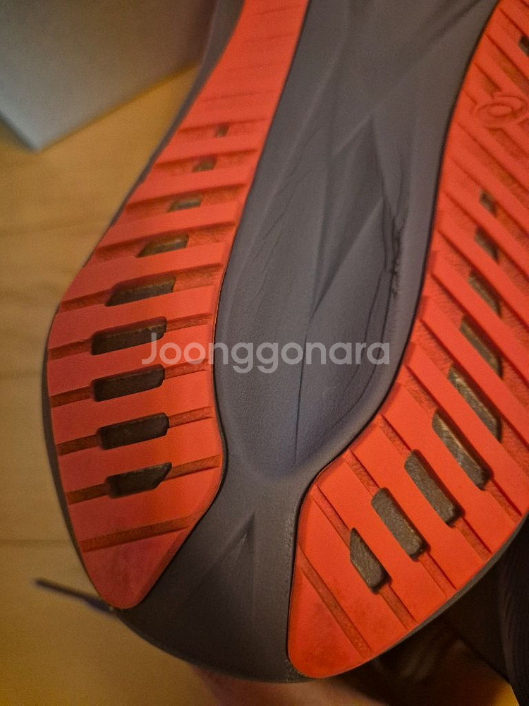 280 노바블라스트5 퍼플 코랄리프--1