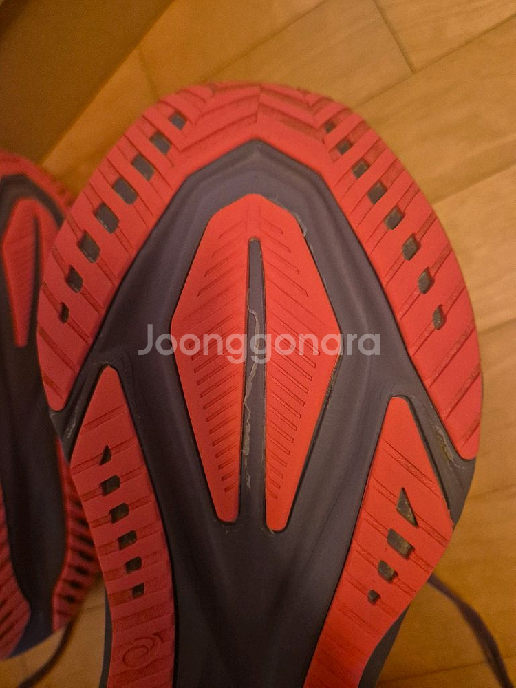 280 노바블라스트5 퍼플 코랄리프--2