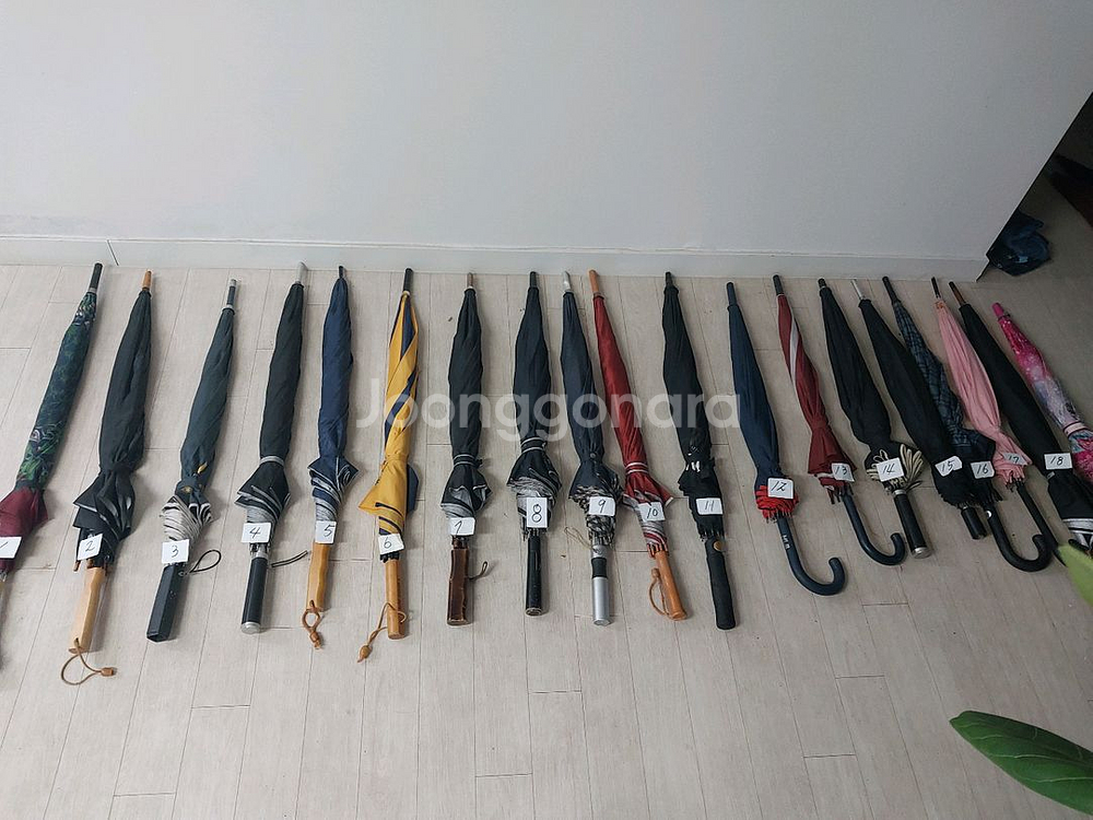 우산5가지--0