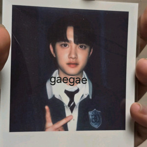 디오 도경수 EXO 엑소 시즌그리팅 시그 폴라로이드