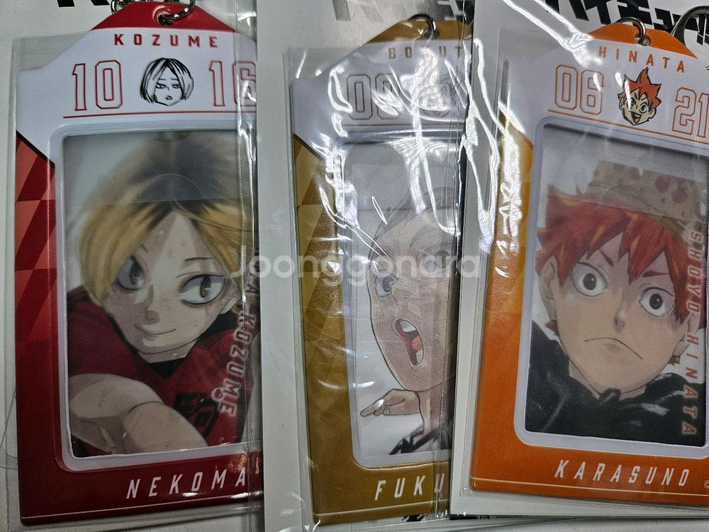 하이큐 생일 포카 및 포카 홀더 켄마 보쿠토 히나타--0