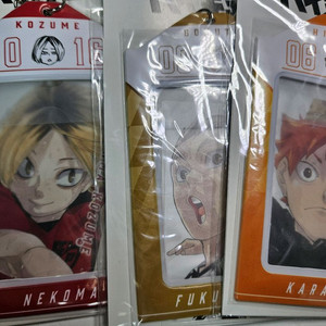 하이큐 생일 포카 및 포카 홀더 켄마 보쿠토 히나타