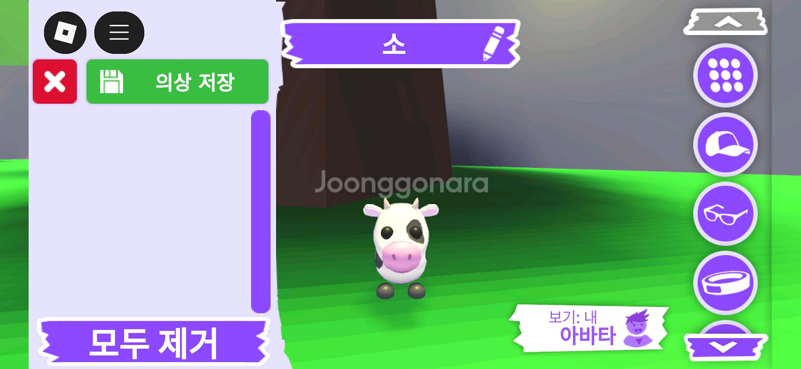 입양하세요 펫 소(젖소) 판매합니다.--0