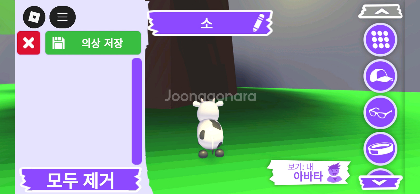 입양하세요 펫 소(젖소) 판매합니다.--3