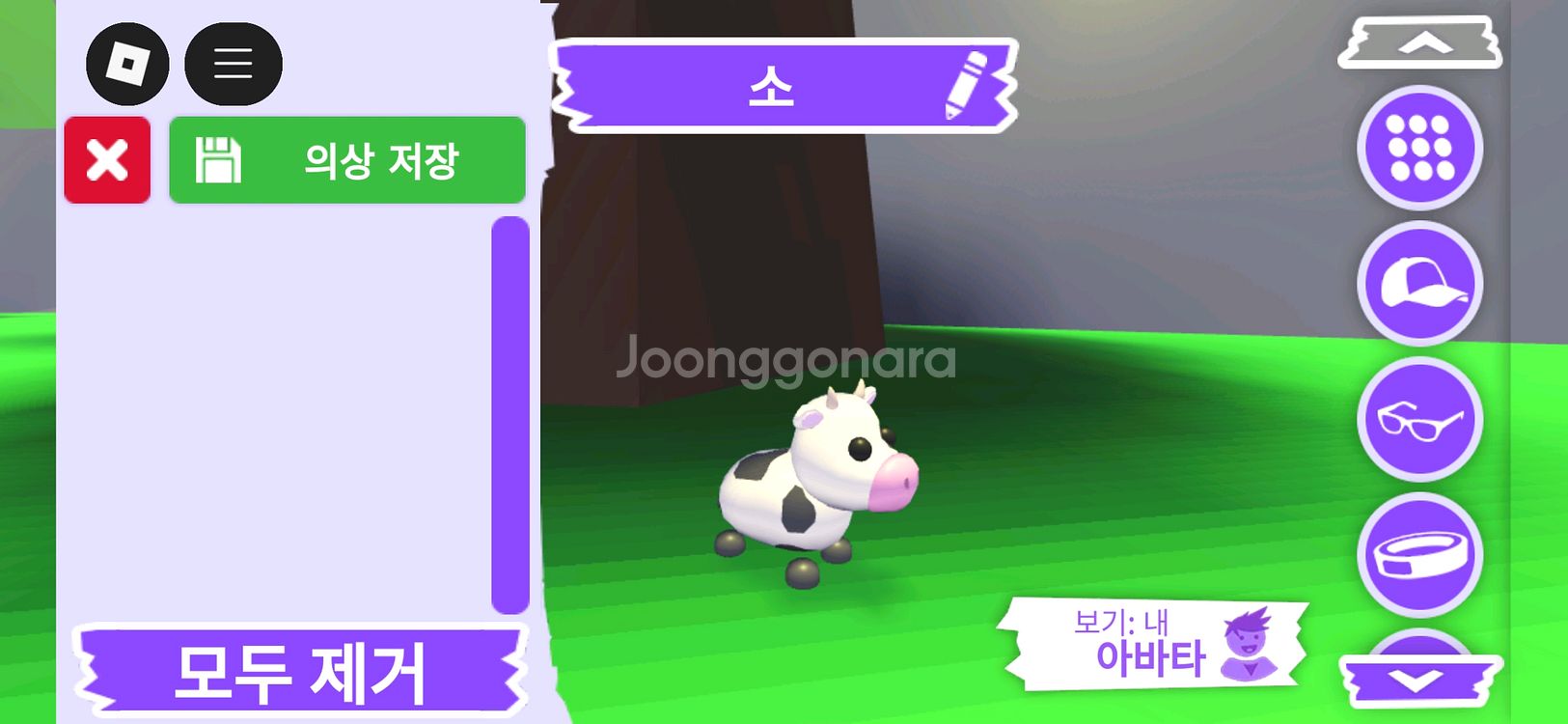 입양하세요 펫 소(젖소) 판매합니다.--2