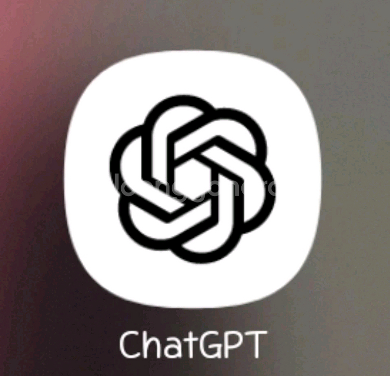 챗 지피티 플러스 GPT plus 1년--0