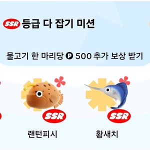 틱톡 낚시 물고기 팔아요