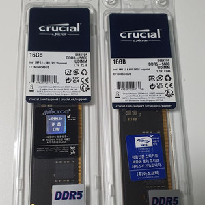 대구 직)마이크론 램 DDR5 5600 16x2