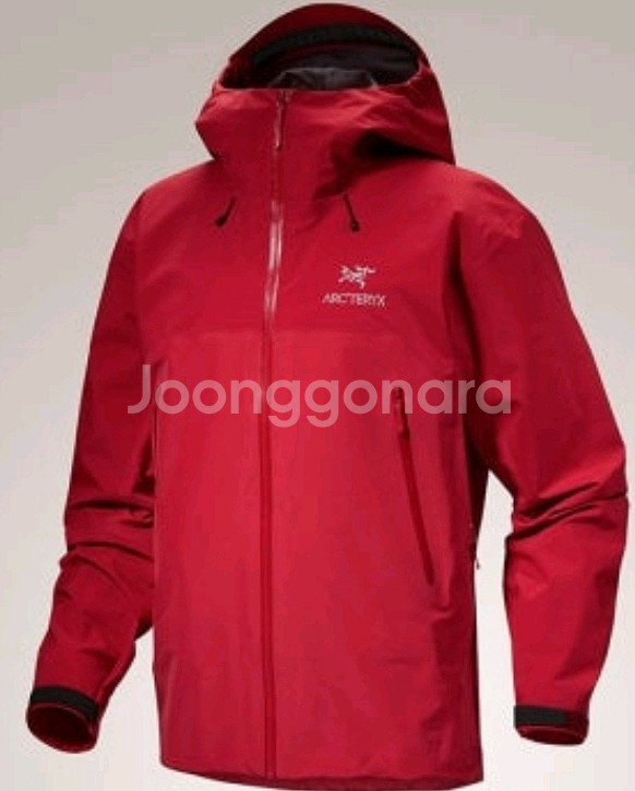 아크테릭스ar스톰후드 팝니다--0