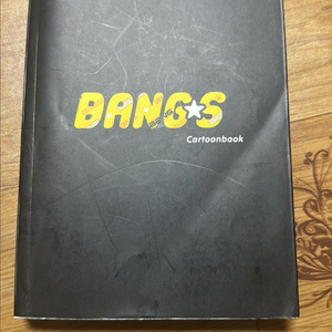 빅뱅 뱅스