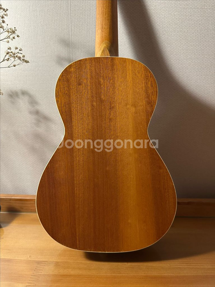 콘서트형 우쿨렐레 팝니다--5