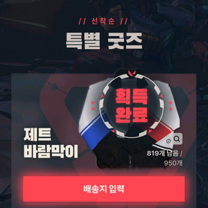 발로란트 제트 바람막이