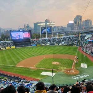29일 일요일 엘지대기아 1루외야그린지정석 2연석