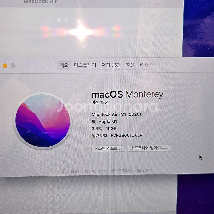 맥북 m1 16gb 256 + 매직마우스 상태좋아요--1