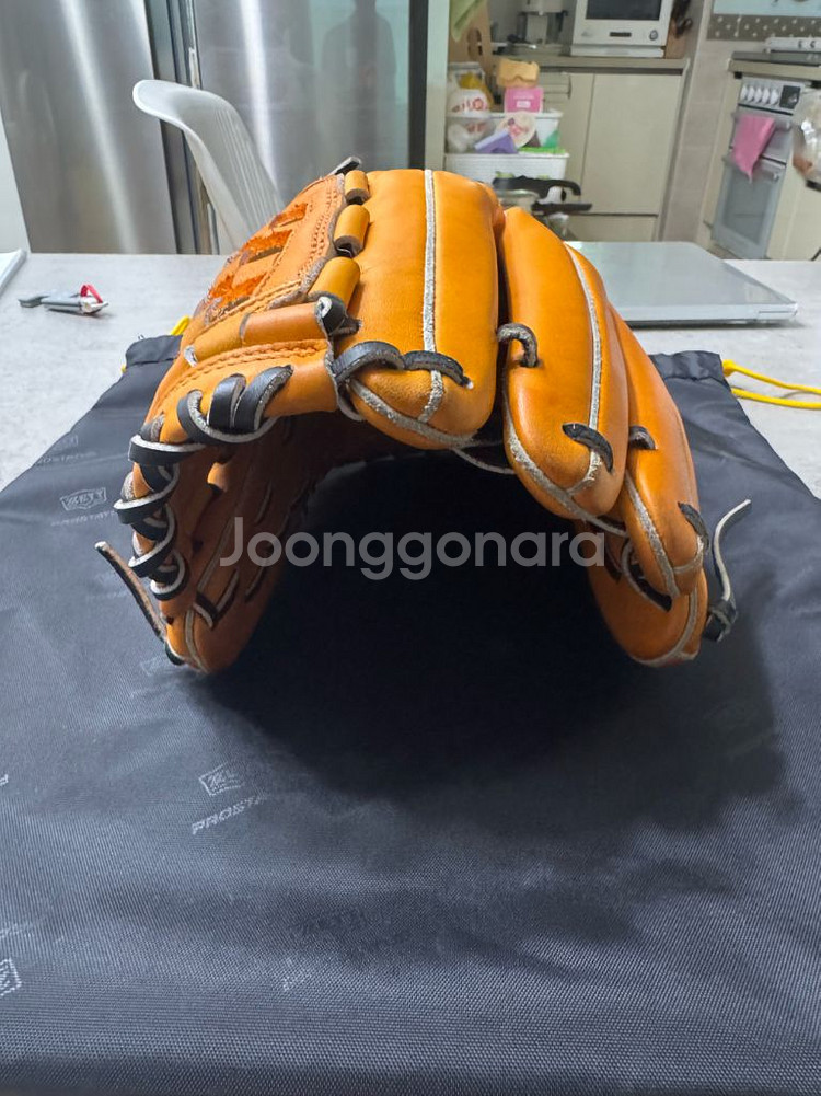 제트 프로스테이터스 겐다 내야글러브--2