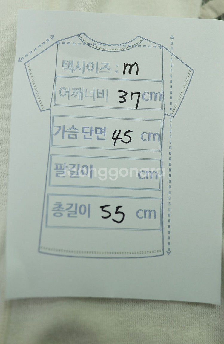 버버리 체크 카라 반팔티 M 사이즈 (여성용)--5