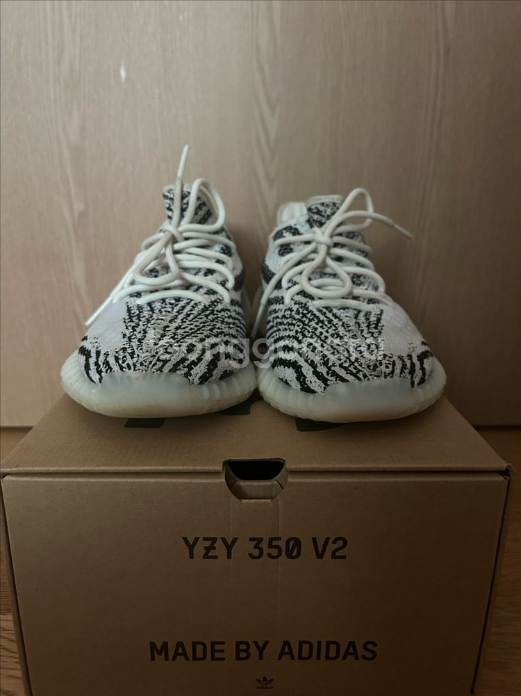 이지부스트 350V2 지브라2022/2023--4
