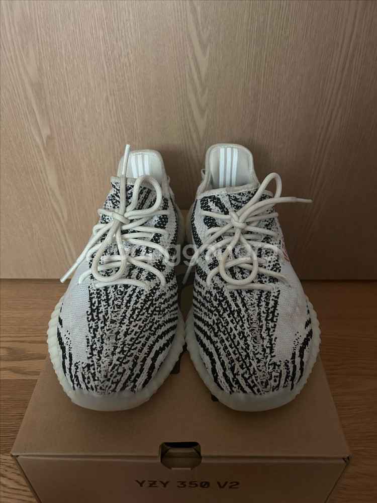 이지부스트 350V2 지브라2022/2023--5