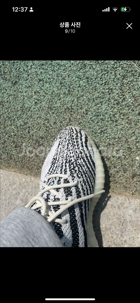 이지부스트 350V2 지브라2022/2023--8