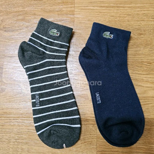 라코스테 남성 양말 9켤레
