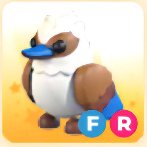 입양하세요 FR 쿠카부라
