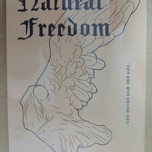 새상품 2025 션티 natural freedom nf