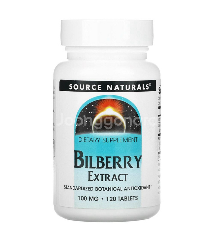 Bilberry Extract 100mg, 120정--0
