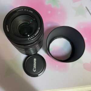 캐논 EF-S 55-250mm F4-5.6 IS 렌즈