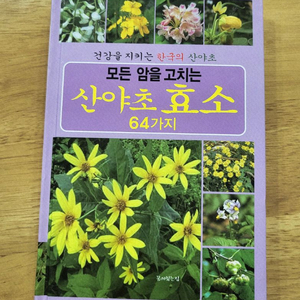 급매[책] 모든암을고치는 산야초 효소 20,000원