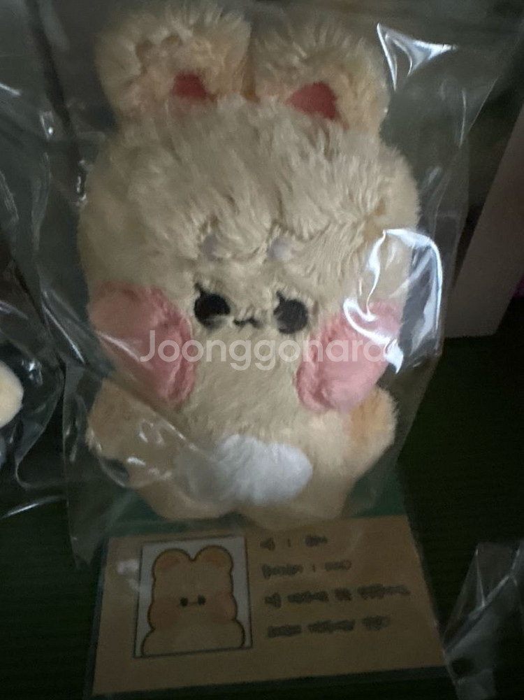 아이브 레이 인형--0