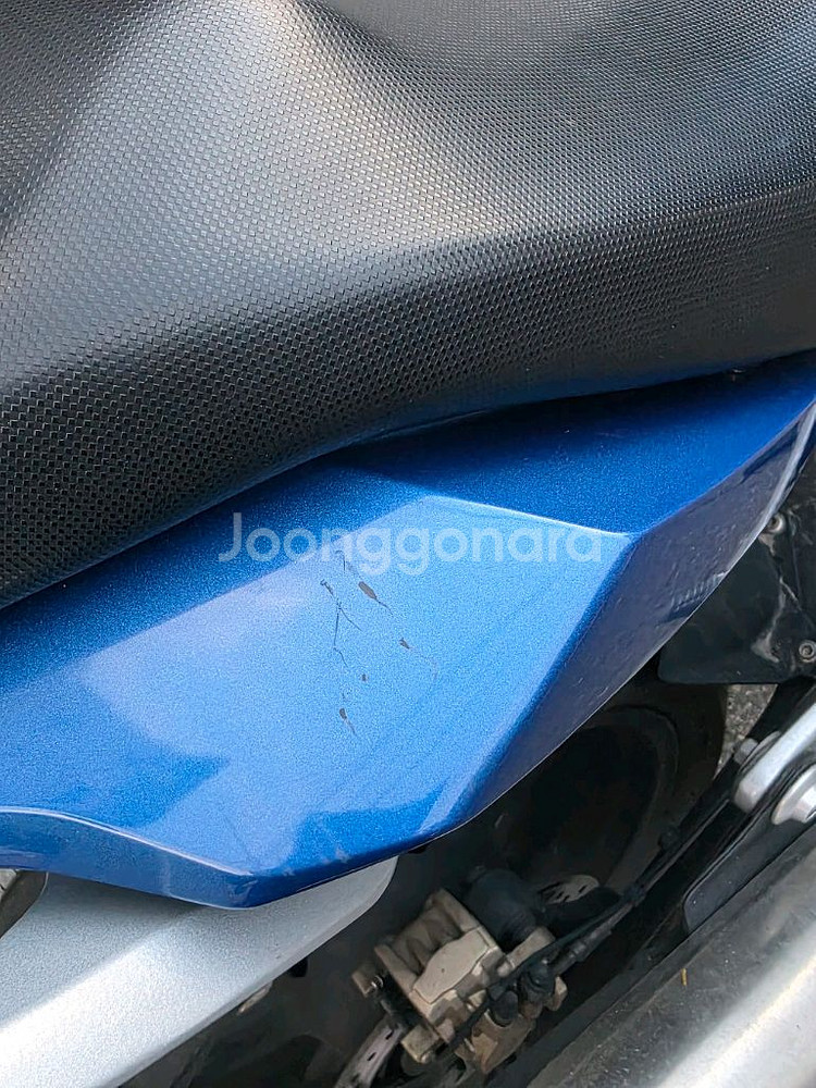 BMW G310R--5