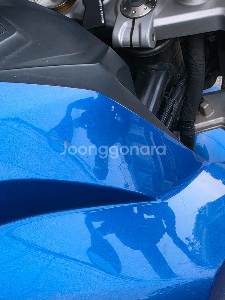 BMW G310R--3