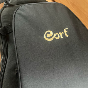 cort 콜트 기타 통기타 초보자 입문용 여성용