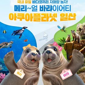 일산 아쿠아플라넷 종일권