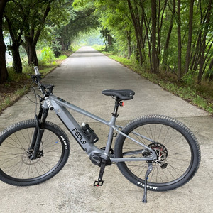 페들나인 EVO5 전기자전거 mtb
