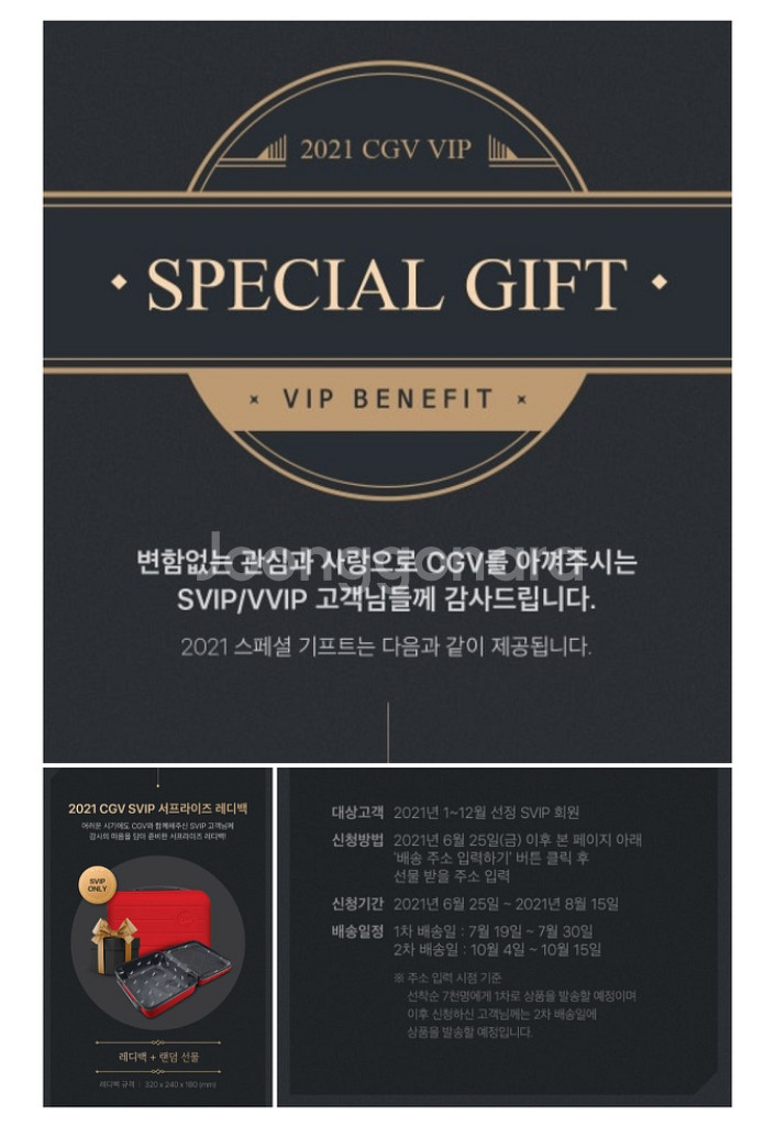 cgv vip 레디백 미니캐리어--3