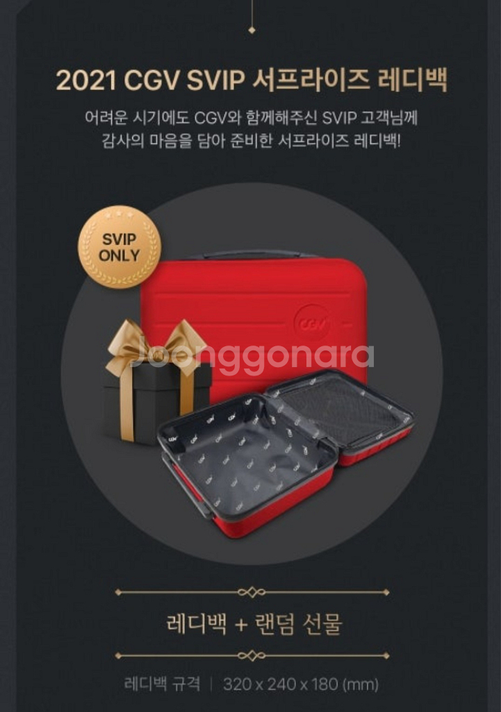 cgv vip 레디백 미니캐리어--4
