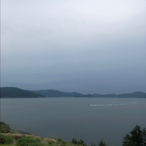 배달의 민족 배민 상품권 75퍼 무한매입