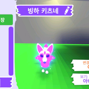 입양하세요 펫 메가네온 빙하 키츠네 판매합니다.