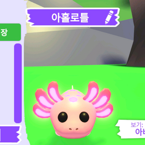 입양하세요 펫 메가네온 아홀로틀 판매합니다