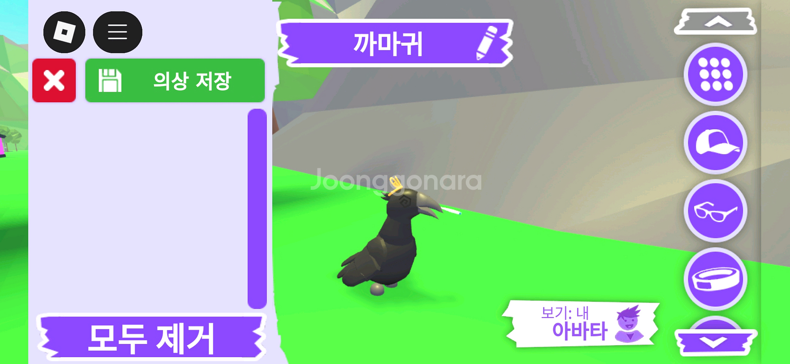 입양하세요 펫 까마귀 판매합니다.--1