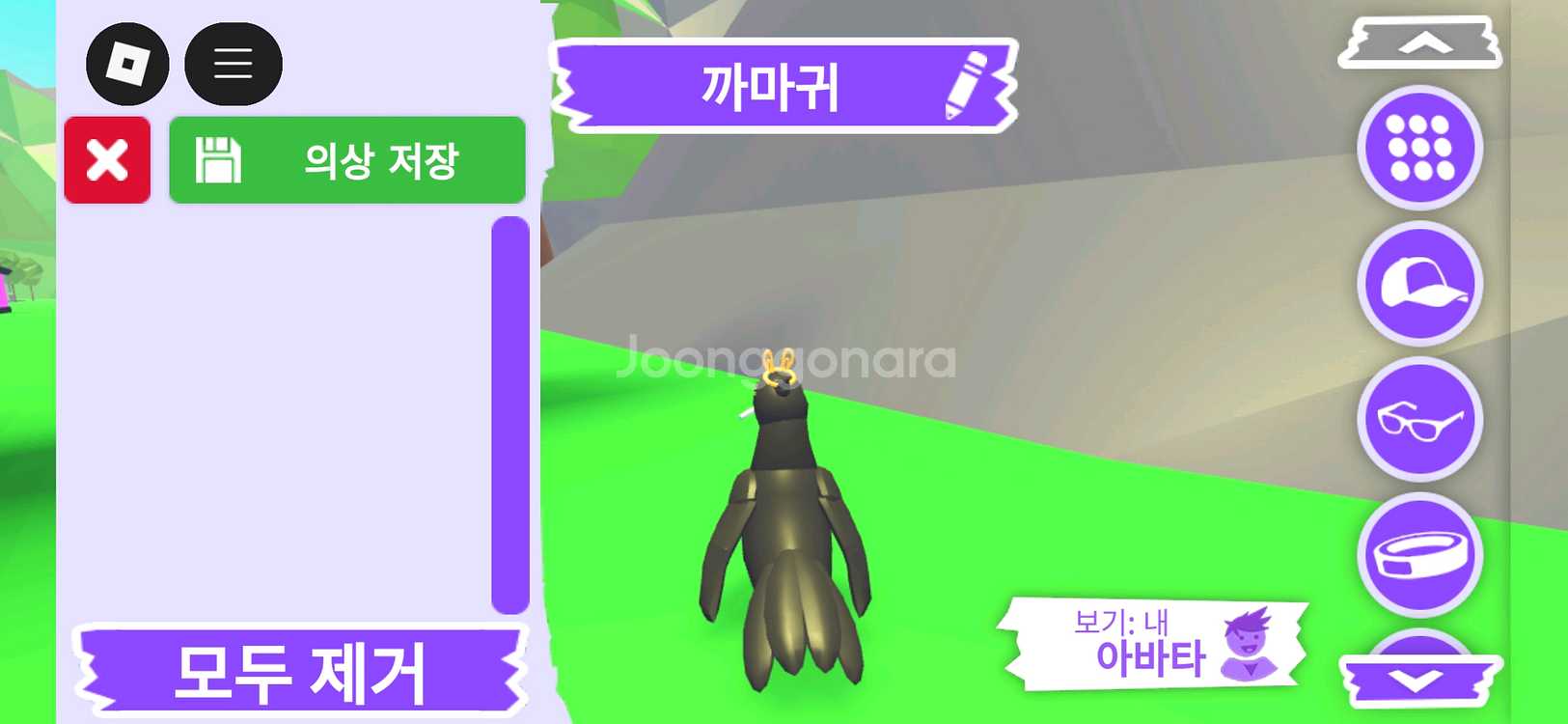 입양하세요 펫 까마귀 판매합니다.--3