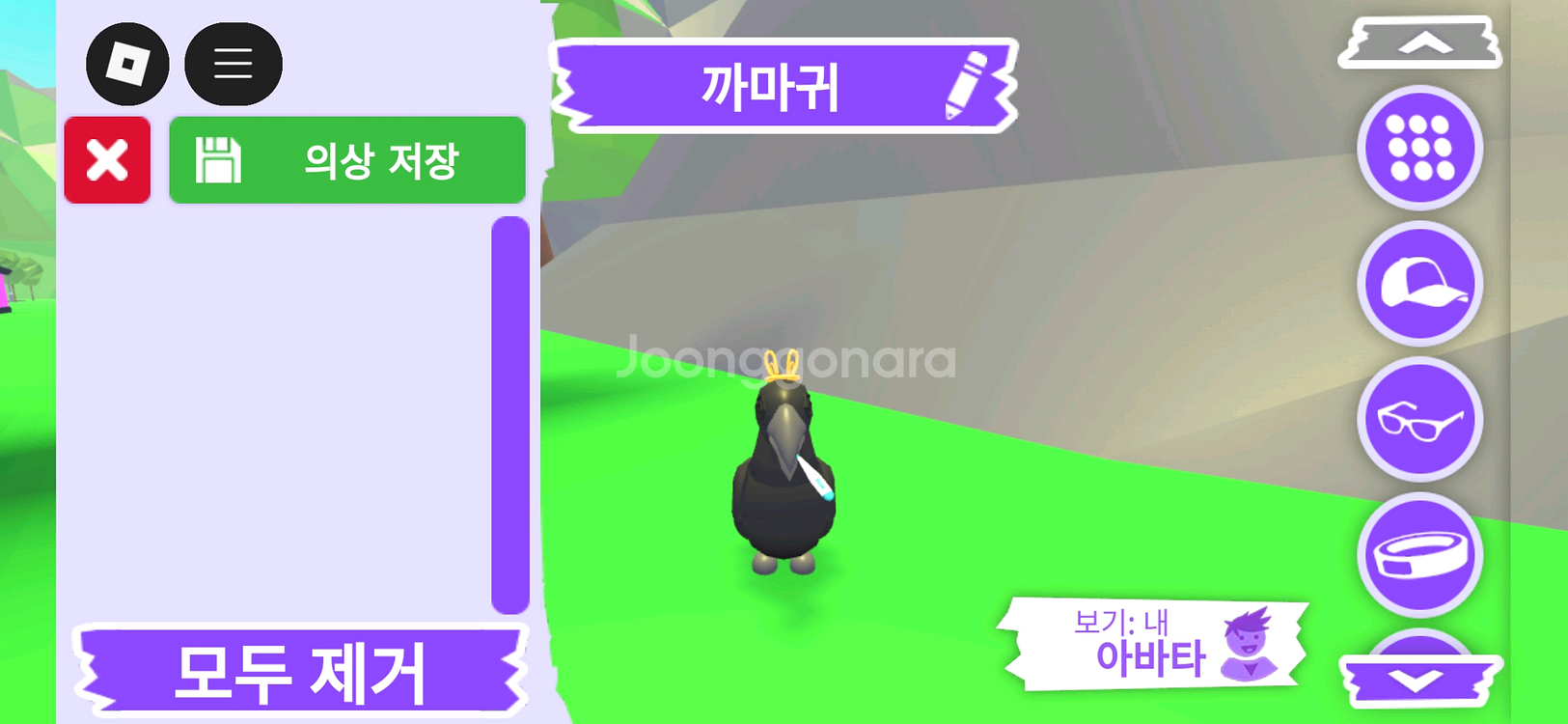 입양하세요 펫 까마귀 판매합니다.--0