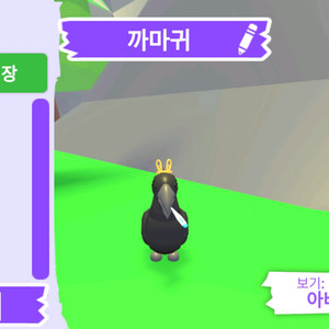 입양하세요 펫 까마귀 판매합니다.