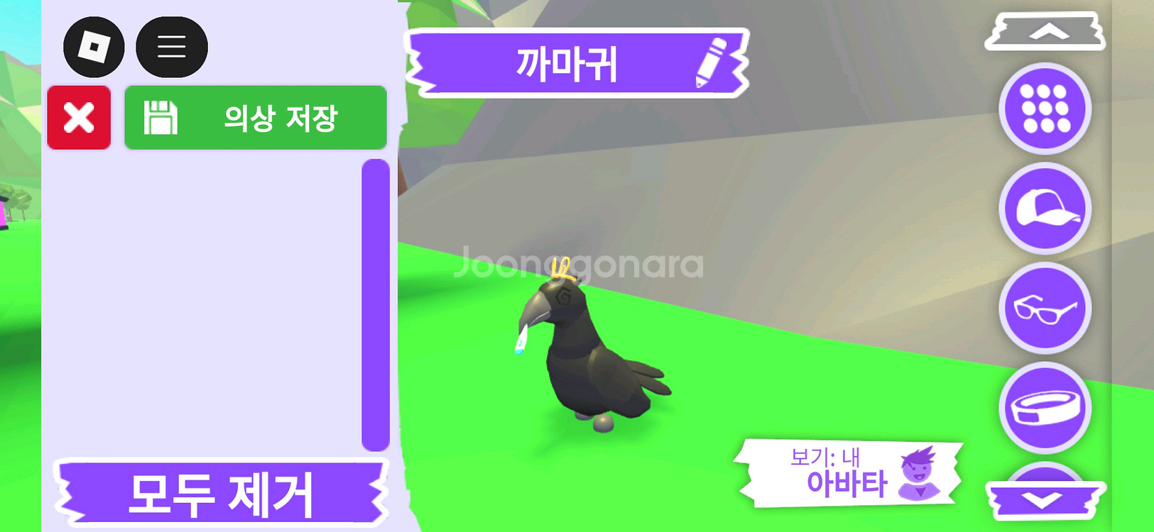 입양하세요 펫 까마귀 판매합니다.--2